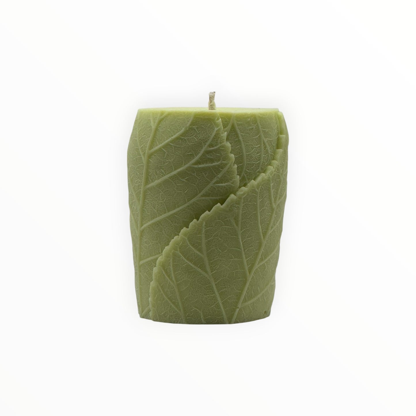 Leaf Pillar