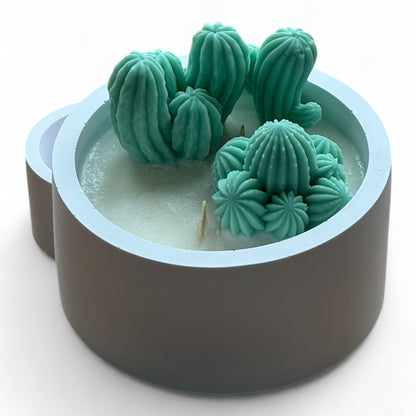 Cactus Garden (1044)