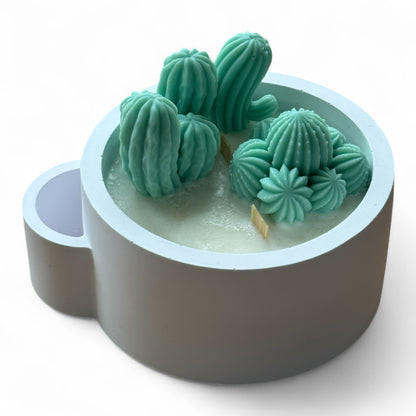Cactus Garden (1044)