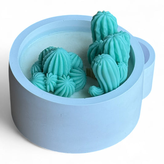 Cactus Garden (1044)