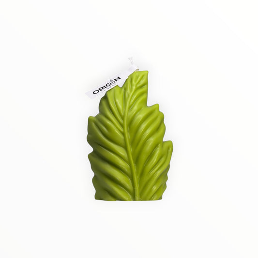 Leaf