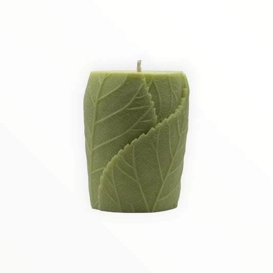 Leaf Pillar